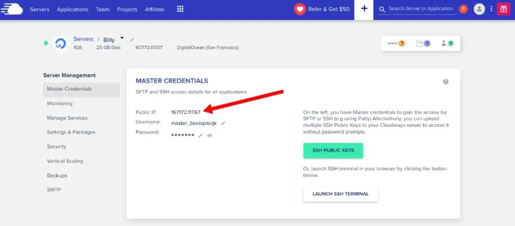 Cloudways Public IP address - where to find